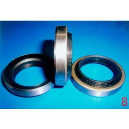 發(fā)動機(jī)油封圖片,發(fā)動機(jī)油封高清圖片 河北任縣鑫馳橡塑制品廠,